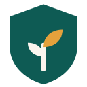 Safe Choices Foundation